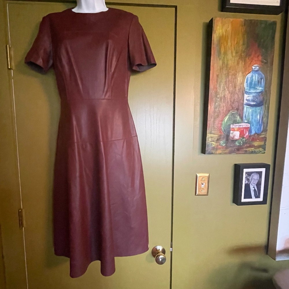 Zara Woman Short Sleeve Faux Leather Midi Fit and Flare Dress